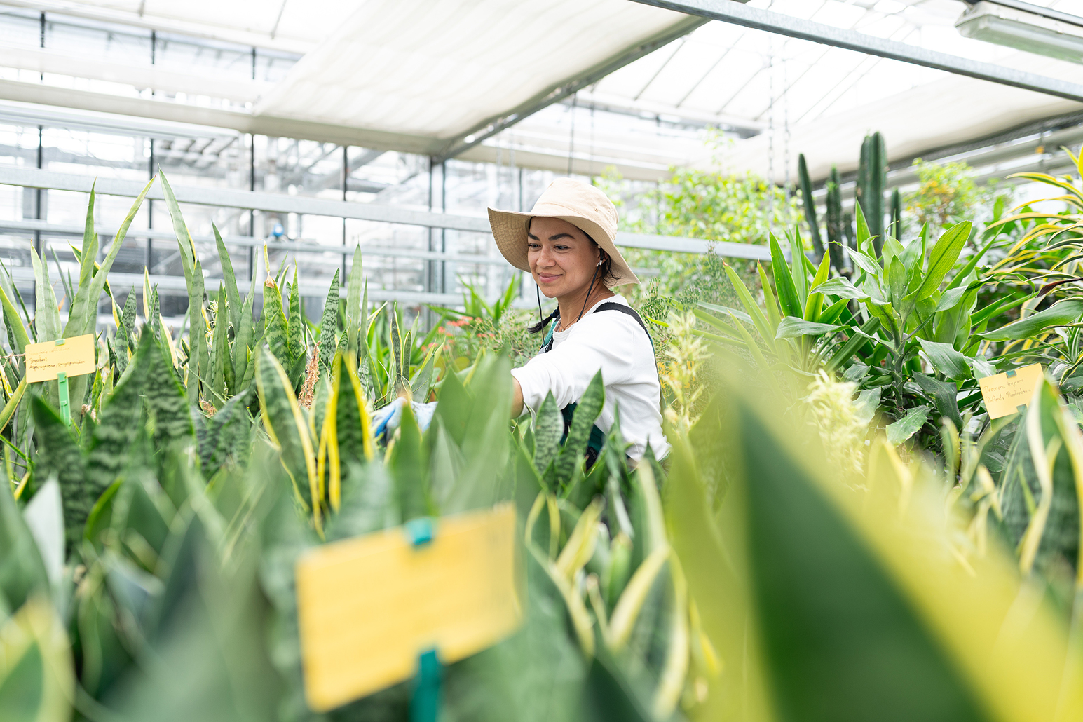 Für besonders grüne Daumen: Ausbildung zum/zur Gärtner*in im Zierpflanzenbau im Lehrbetrieb in Datteln