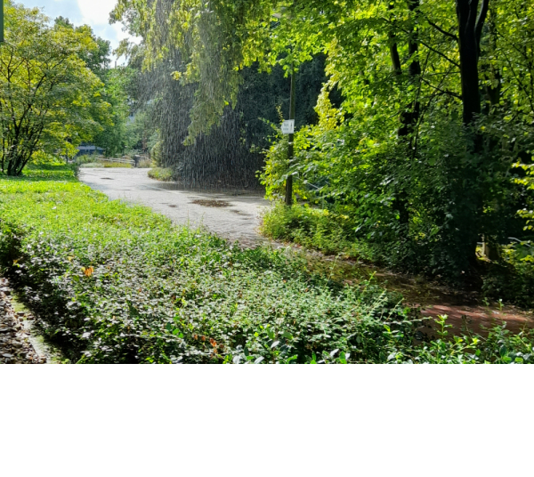 Link zur Seite: Standortstärken Standortstärken