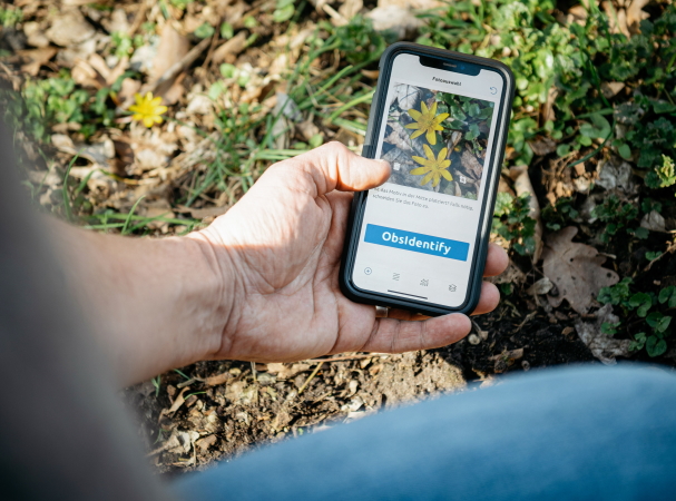 Link zur Seite: Bioblitz
